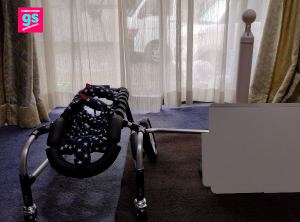 犬の車椅子と歩行器の製作工房ゲンキサクラ