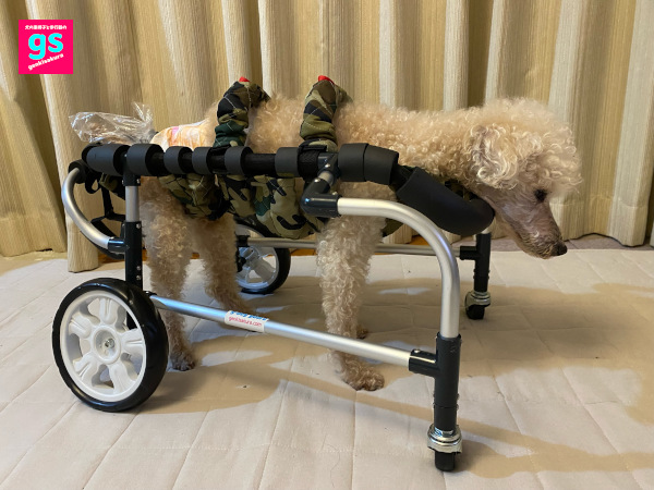 ゲンキサクラ【犬の車椅子・歩行器】製作工房