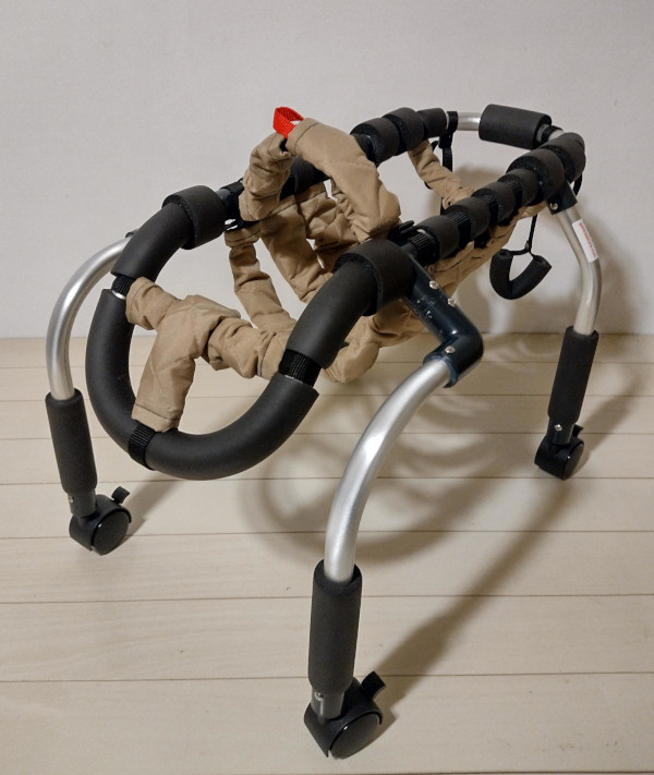 犬の歩行器・車椅子の専門工房ゲンキサクラ